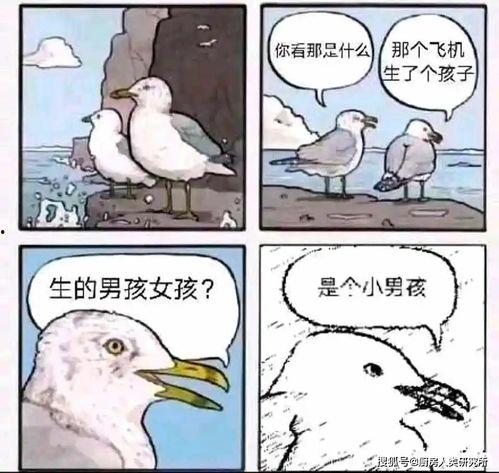 吃瓜是什么意思 吃瓜有理报料无罪