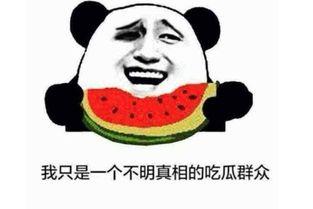 吃瓜是什么意思 吃瓜有理报料无罪